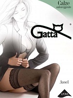 Gatta Assel 01    Gatta*